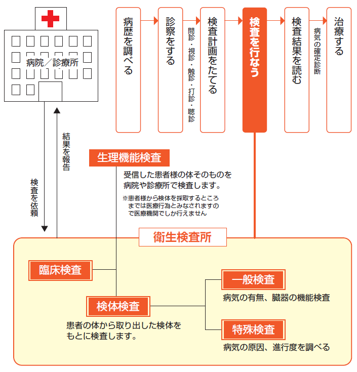 「診断から検査までの手順」の画像