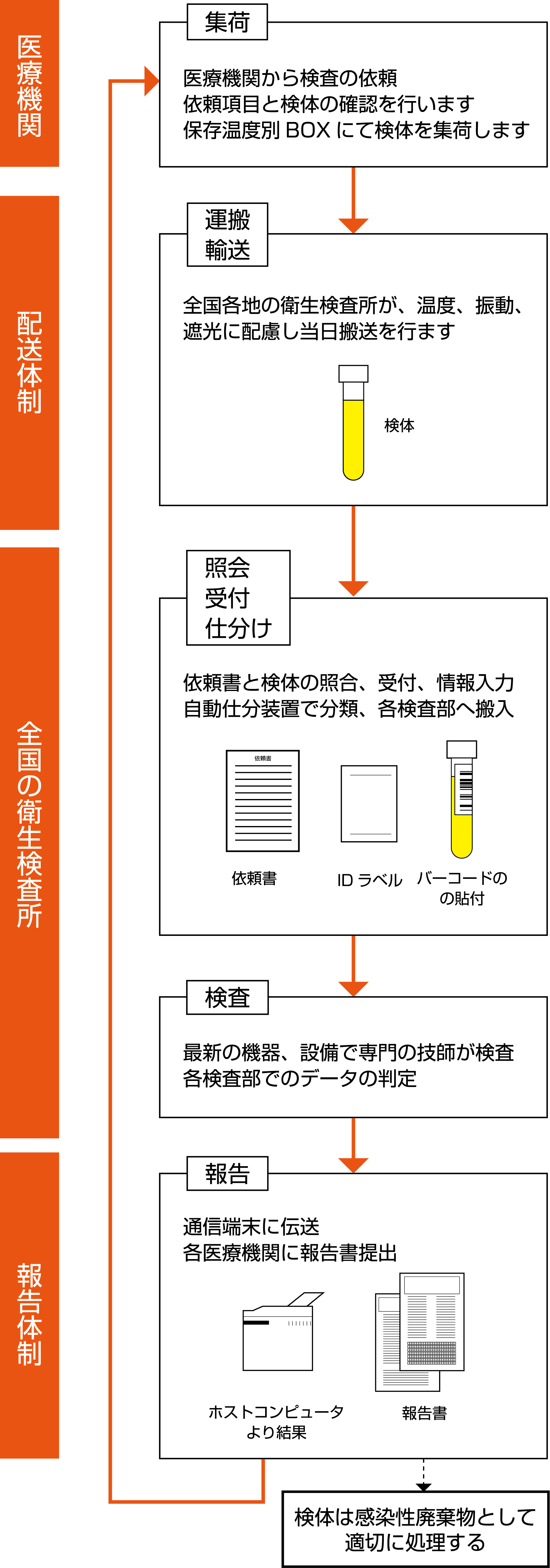 「診断から検査までの手順」の画像