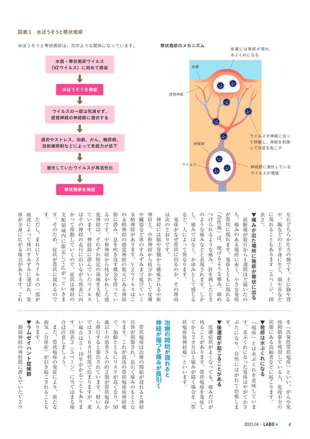 掌蹠膿疱症（しょうせきのうほうしょう）と漢方 | 漢方薬相談